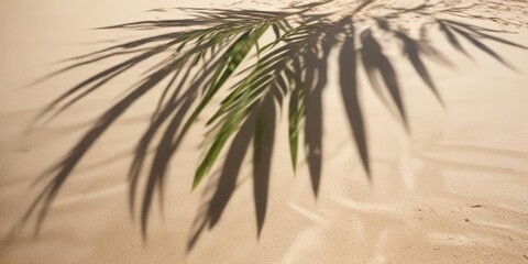 Obraz premium Close-up of coconut leaf shadow on smooth sandy beach, nature, tropical, serene