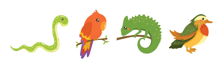 Funny African Animal and Wild Fauna Vector Set. Wildlife and Exotic Zoo Mammal of Savannah