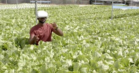 Using VR headset, african american man exploring hydroponic farm surrounded by lettuce plants - Powered by Adobe