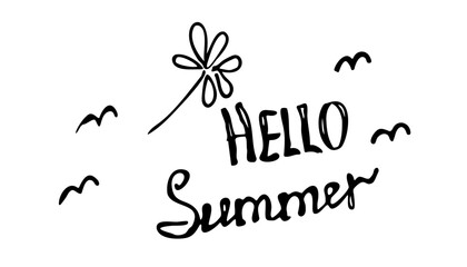 the word hello summer is written in pink on a white background