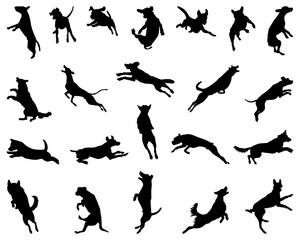 Black silhouettes of dog jumps on a white background