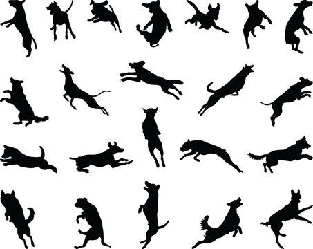 Black silhouettes of dog jumps