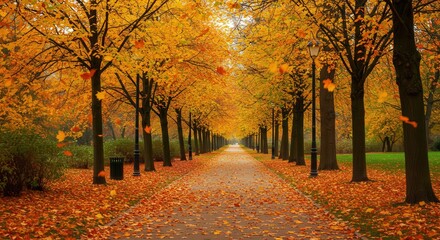 Autumn Park with Golden Leaves, Fallen Foliage, and Scenic Path