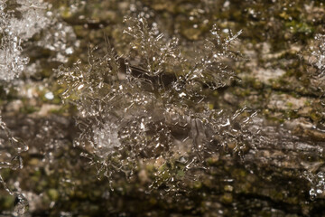 close-up photo of snowflakes
