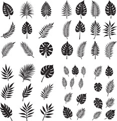 Fototapeta premium Silhouette set of ropical leaves, palm leaves, diverse collection, black shapes, design elements, leaf icon vector illustration with white background