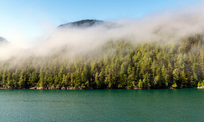 Mist landscape of island with pine and cedar trees forest along Inside Passage cruise between Prince Rupert and Port Hardy, Vancouver Island, British Columbia, Canada.