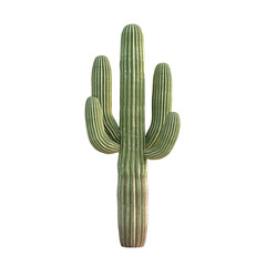 Saguaro cactus isolated on transparent background