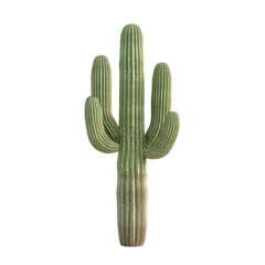Saguaro cactus isolated on transparent background