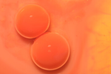 oil, water and milk create interesting pictures