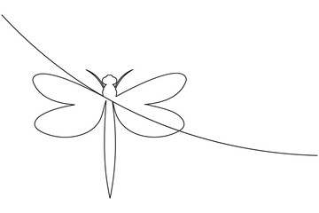 Dragonfly one line art drawing and insect minimalist style isolate outline vector illustration