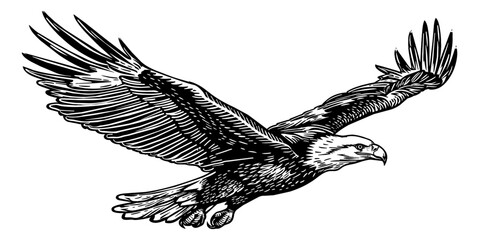 bald eagle fly engraving black and white outline