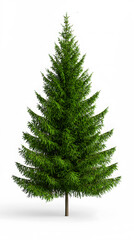 Fototapeta premium Realistic green Fir tree, undecorated, isolated on white background