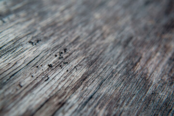 old sheets of plywood