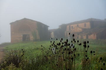 Abandoned rustic farmhouse surrounded by lush greenery and mist creating serene atmosphere