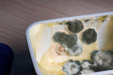 jar of melted cheese shows visible signs of mold and fungus, indicating spoilage. The image highlights the importance of food safety and proper storage practices