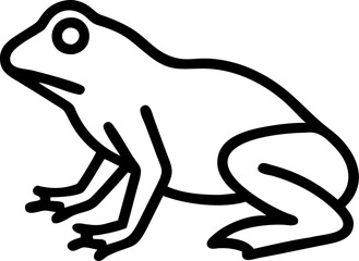frog on a white