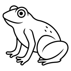 frog on white background