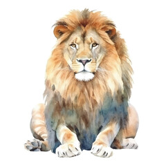 watercolor Lion isolated white background