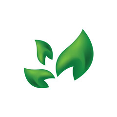 Obraz premium green leaf