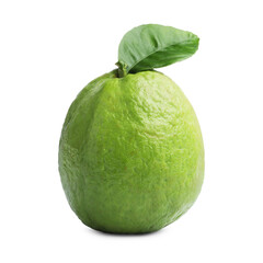 One fresh guava fruit with leaf isolated on white
