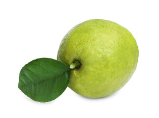 One fresh guava fruit with leaf isolated on white