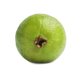 One fresh guava fruit isolated on white