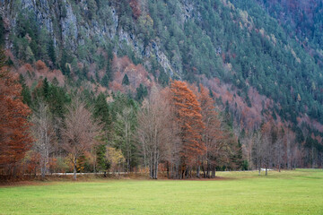 Amazing view with colorful autumn trees in the picturesque Logar Valley (Logarska Dolina), Slovenia. © Jess_Ivanova