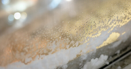Snow on the mosquito mesh.