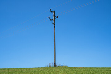 Wooden pole with power lines on a grass hill