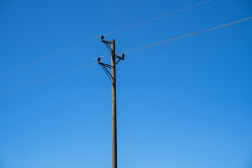 Wooden pole with power lines