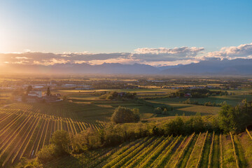 Spring sunset in the vineyards of Rosazzo