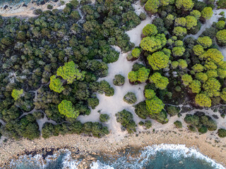 Aerial via of scrubs and bushes near mediterranean coast. Wild nature near sea. Walk along the coast line.