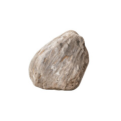 Fototapeta premium Textured River Rock: A single, smooth river rock, exhibiting a unique, textured surface. The grey and brown hues create a subtle contrast against the natural light. 