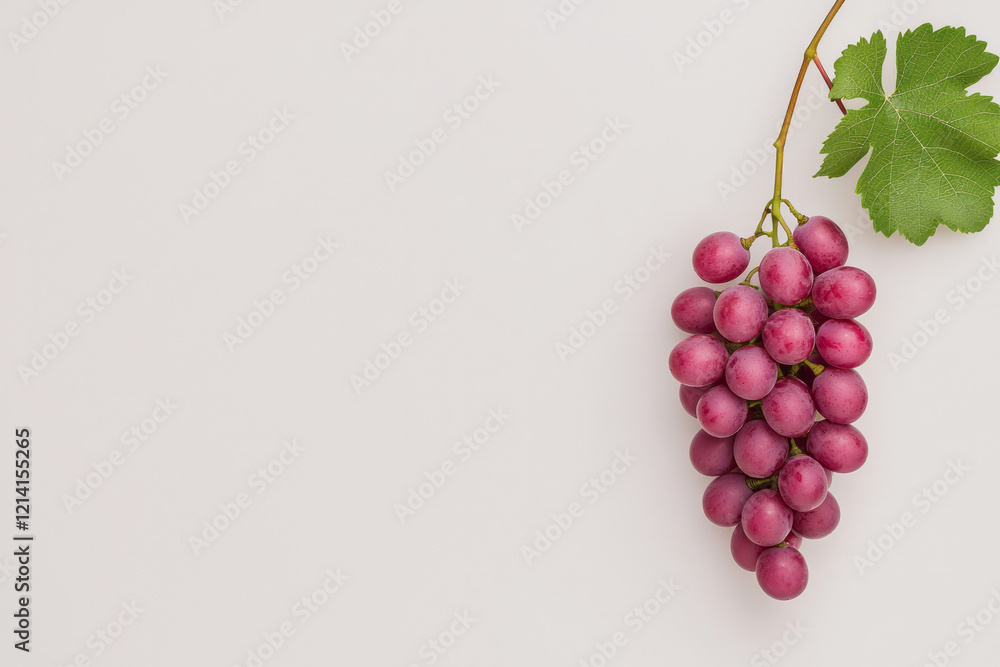 Poster a minimalist photograph of a single grape hanging from a thin vine against a stark white background,