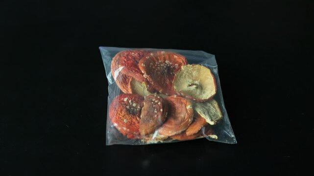 Hands holding a transparent plastic zip bag filled with dried red fly agaric mushrooms, showcasing their textured caps and gills. Microdosing and alternative healing. Dried amanita mushrooms