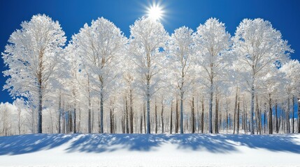 Obraz premium Radiant Winter Scene of Snow Covered Trees under a Bright Sunny Sky