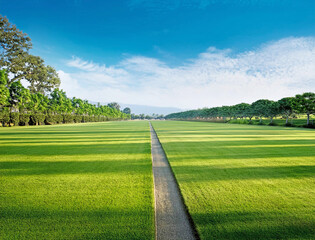 Obraz premium 公園のジョギングコース