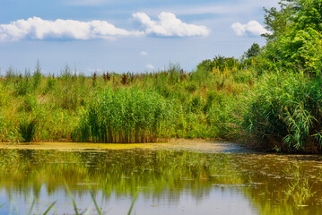 Zmajevo Lakes - Zmajevacka jezera in Vojvodina, Serbia