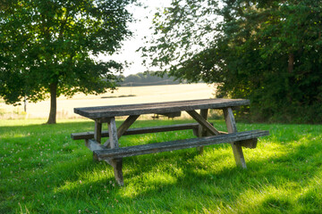 Fototapeta premium Picnic table in a serene meadow during golden hour sunlight