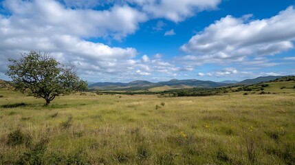 Fototapeta premium Expansive Landscape with Rolling Hills and Open Sky under Bright Sunlight : Generative AI