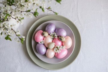 Top view of plate with colorful pastel Easter eggs and spring blossom branches on linen tablecloth