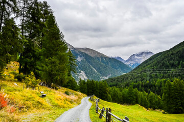 Zernez, Inntal, Inn, Fluss, Wanderweg, Landwirtschaft, Bergwiese, Holzbank, Dorf, Ofenpass, Nationalpark, Herbst, Herbstfarben, Herbstwanderung, Graubünden, Engadin, Alpen, Schweiz