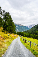 Zernez, Inntal, Inn, Fluss, Wanderweg, Landwirtschaft, Bergwiese, Dorf, Ofenpass, Nationalpark, Herbst, Herbstfarben, Herbstwanderung, Graubünden, Engadin, Alpen, Schweiz