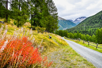 Zernez, Inntal, Inn, Fluss, Wanderweg, Landwirtschaft, Bergwiese, Dorf, Ofenpass, Nationalpark, Herbst, Herbstfarben, Herbstwanderung, Graubünden, Engadin, Alpen, Schweiz