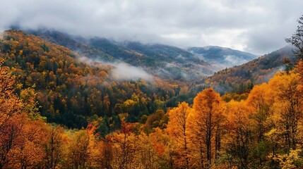 Misty Autumn Mountains Covered in Vibrant Foliage Under Cloudy Sky : Generative AI