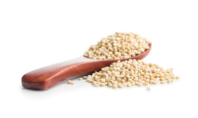 White uncooked quinoa seeds on spoon isolated on white background.