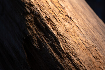 Close up of a wood, texture and soft light show its beautiful, in New Taipei City, Taiwan.