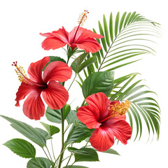 vibrant red hibiscus flowers tropical green leaf