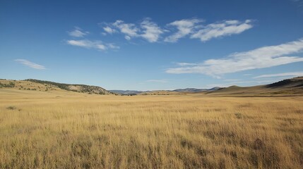 Expansive golden prairie under clear blue sky in tranquil rural landscape : Generative AI