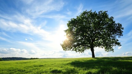 Obraz premium Solitary Tree in Expansive Green Field Under Clear Blue Sky : Generative AI